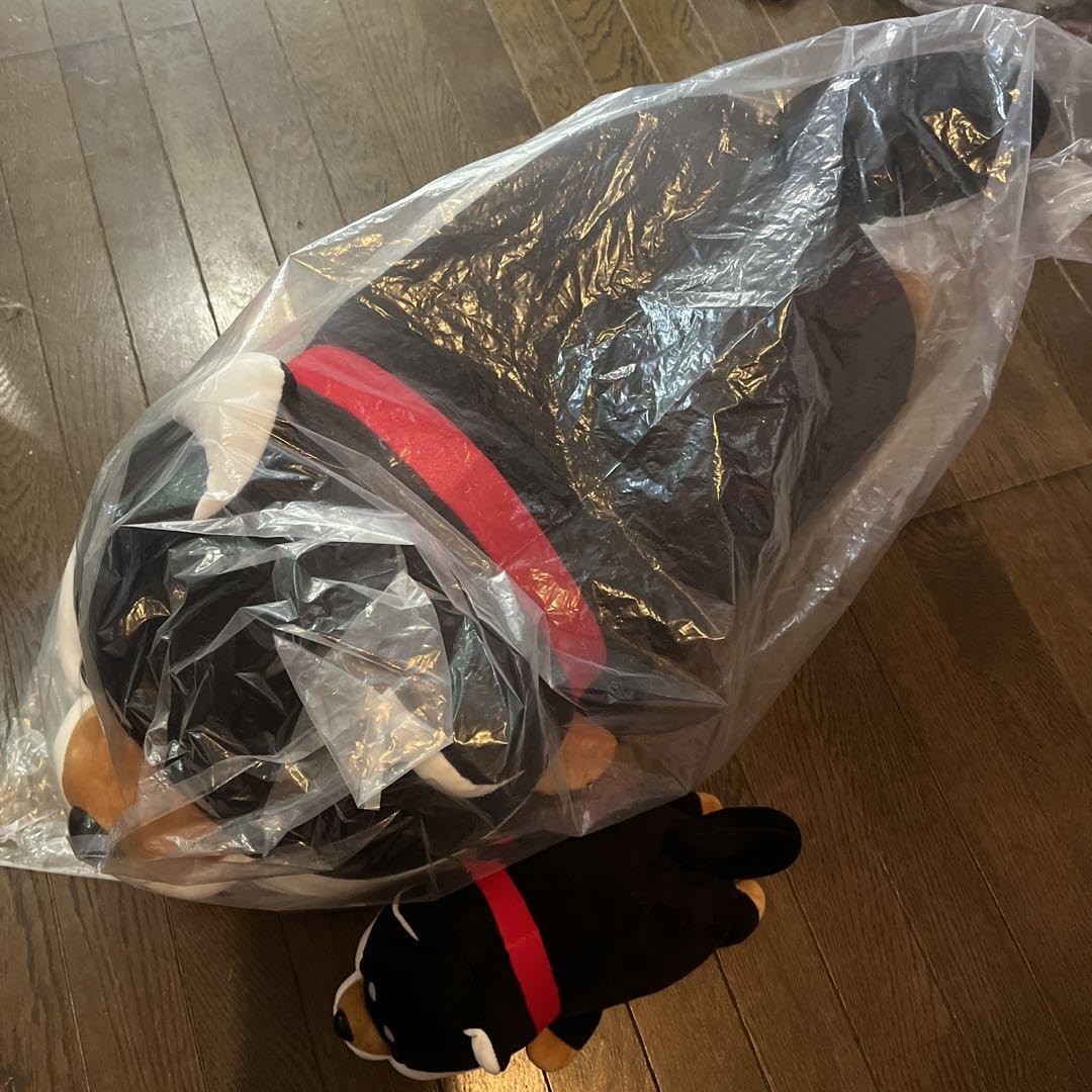 ハッピーまめしば　特賞 新品】ハッピーまめしば特賞 柴犬 ぬいぐるみ 大きい